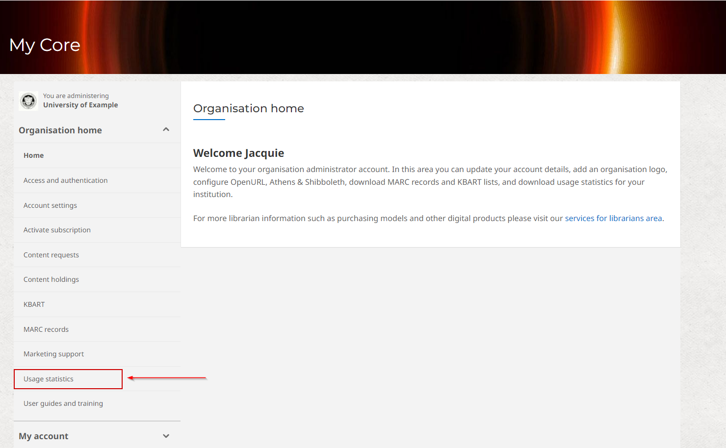 How do I access usage data for my organisation on Cambridge Core.png